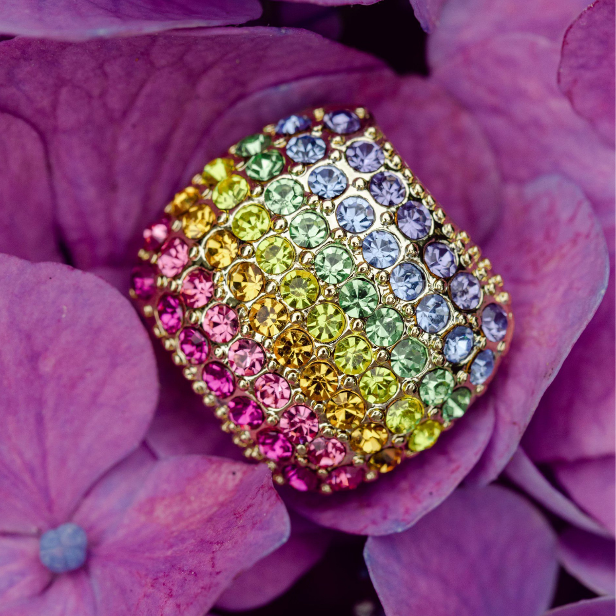 Rainbow Bling Shoe Charm